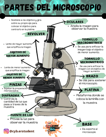 PARTES-DEL-MICROSCOPIO.pdf