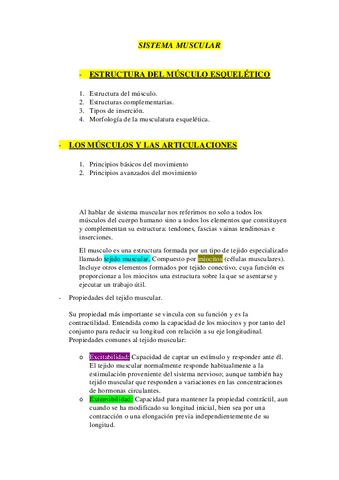 ANATOMIA-T3.pdf