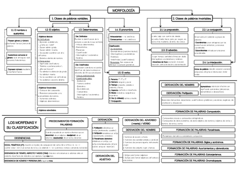 Esquema-Tema-3-Morfologia.pdf