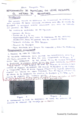 determinación de proteínas en leche mediante el método de Bradford.pdf