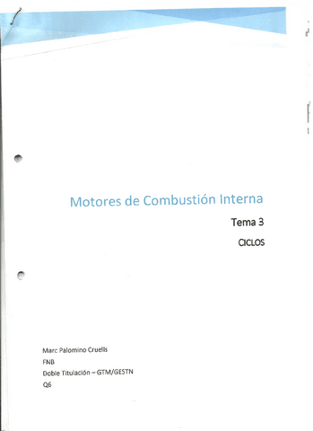 Tema 3 - Ciclos.pdf