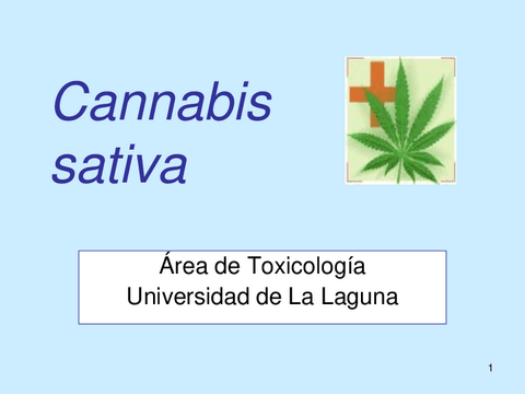 Cannabis-clase-drogas.pdf