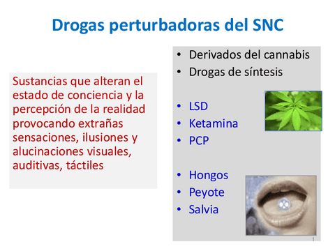 Drogas-Perturbadoras-2022-2023.pdf