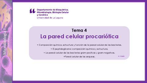 Tema-4La-pared-celular-procariotica.pdf