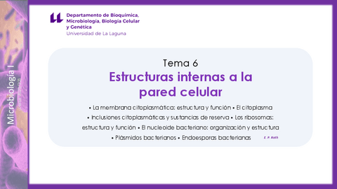 Tema-6Estructuras-internas-a-la-pared-celular-DEFINITVO.pdf