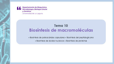 Tema-10Biosintesis-de-macromoleculas-Curso-21-22.pdf