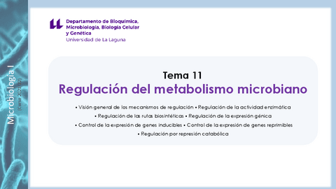 Tema-11-Regulacion-del-Metabolismo-Microbiano-Definitivo.pdf