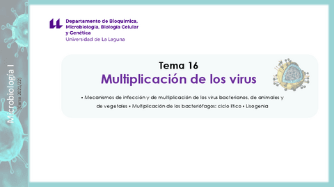 Tema-16--Multiplicacion-de-los-virus.pdf