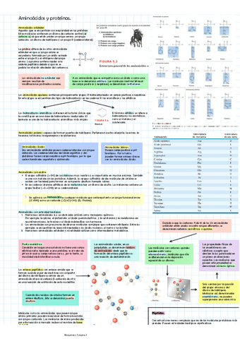 Aminoacidos-y-proteinas.pdf