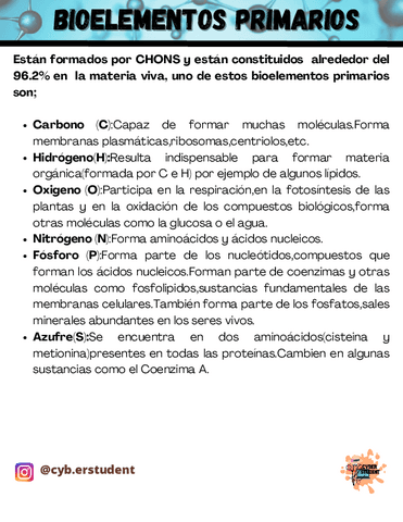 BIOELEMENTOS-PRIMARIOS.pdf