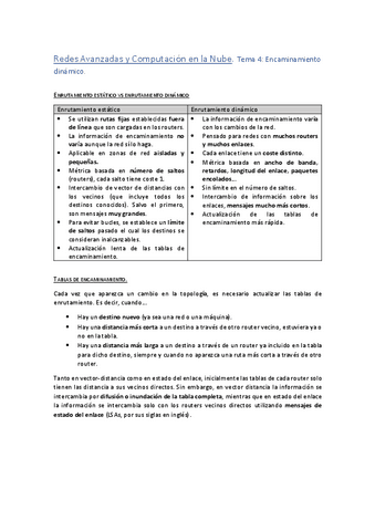 Tema-4-Encaminamiento-dinamico..pdf