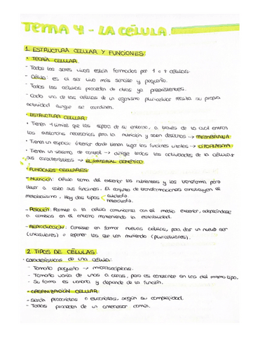 LA-CELULA.pdf