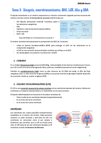FISIOLOGIASENARIS.pdf