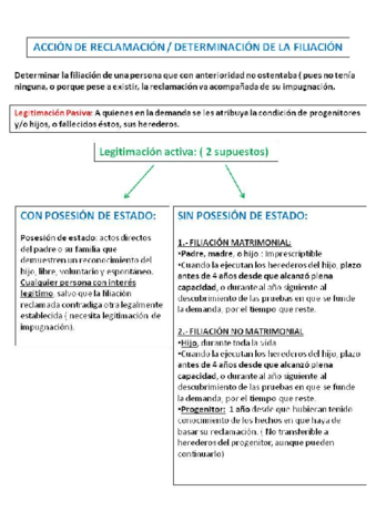 ACCIONES DE LA FILIACION PDF.pdf