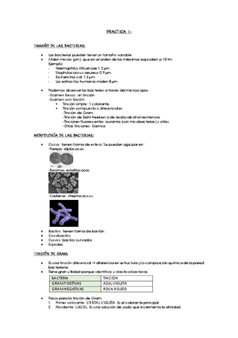 PRACTICAS-MICROBIOLOGIA.pdf