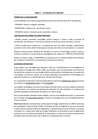APUNTES-CRIMINOLOGIA-II-COMPLETOS.pdf