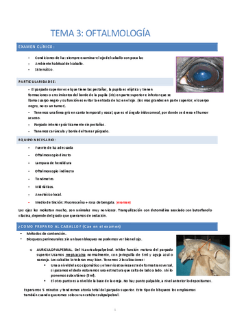Tema-3.-Oftalmologia.pdf