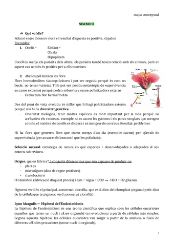 practica-examen.pdf
