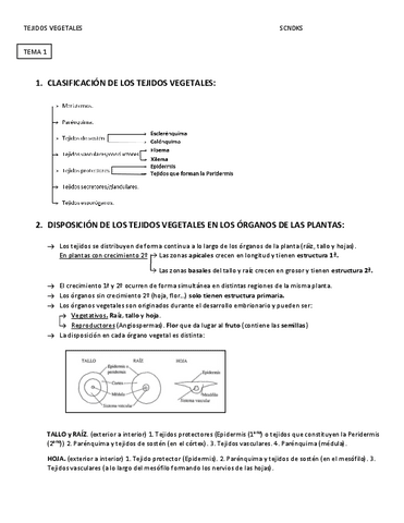 tejidos vegetales temas -1-5.pdf