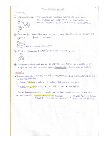 Seres-vivos-Reproduccion-hongos-y-liquines-1-BACH.pdf
