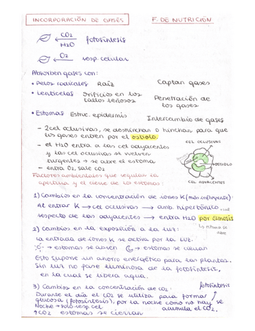 ESQUEMAS-TEMA-PLANTAS-1-BACH.pdf