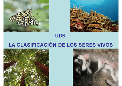 UD6-COMPLETA.pdf