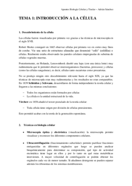 TEMA 1 bct.pdf