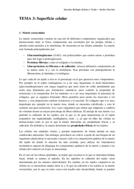 TEMA 3 bct.pdf