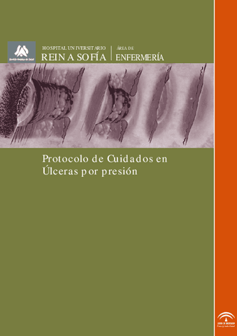 ulceraspresion.pdf