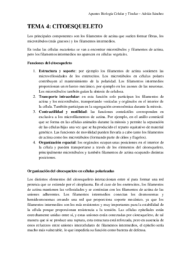 TEMA 4 bct.pdf