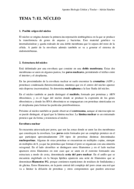 TEMA 7 bct.pdf
