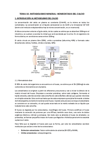 Tema 10.-Homeostasis del calcio.pdf