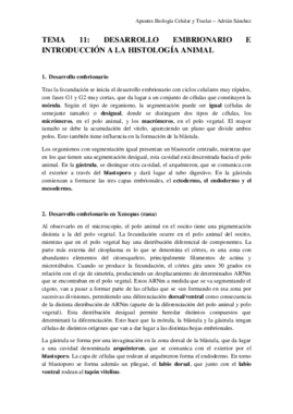 TEMA 11 bct.pdf