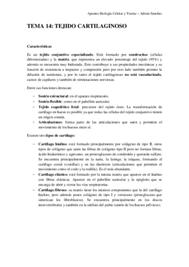 TEMA 14 bct.pdf