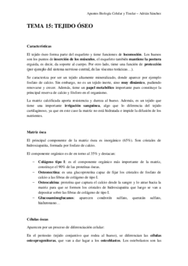 TEMA 15 bct.pdf