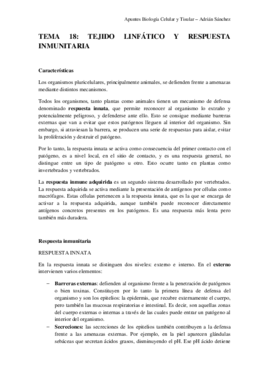 TEMA 18 bct.pdf