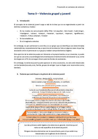 Tema-3Violencia-grupal-y-juvenil.pdf