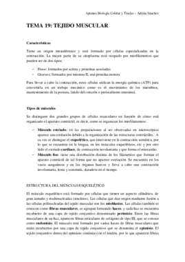 Tema 19 bct.pdf