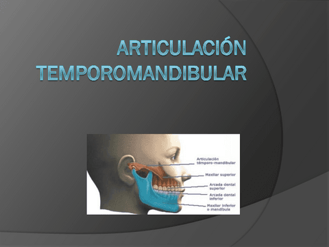 clase-14-Articulacion-temporomandibular.pdf