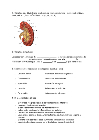 Ejercicios-repaso-biologia-oido-ojo-y-rinon--proceso-de-la-orina.pdf