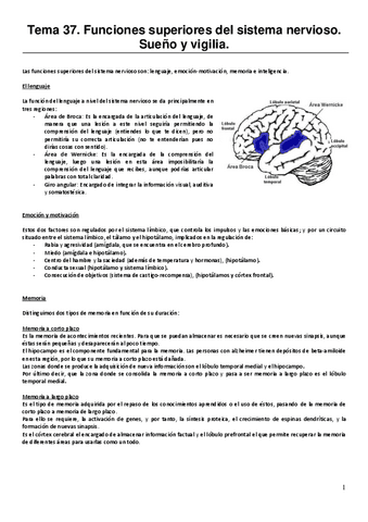 RESUMEN-Tema-37.-Funciones-superiores-del-sistema-nervioso.-Sueno-y-vigilia..pdf
