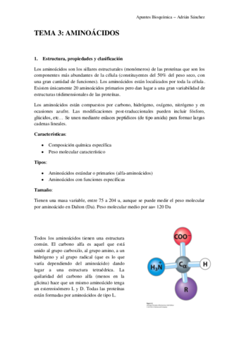 TEMA 3 bioquímica.pdf