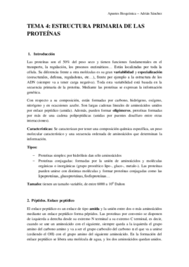 TEMA 4 bioquímica.pdf