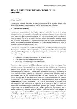 Tema 5 Bioquímica.pdf