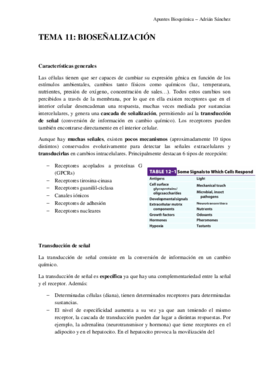 TEMA 11 bioseñalización.pdf