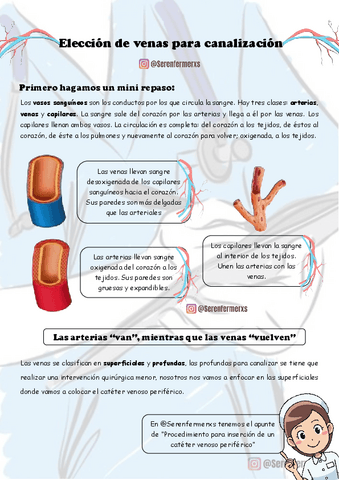 Eleccion-de-venas-para-canalizar-ser-enfermerxs-APUNTE.pdf