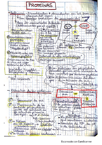 Proteinas.pdf