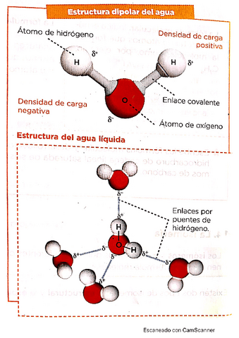 Agua-y-Sales-minerales.pdf