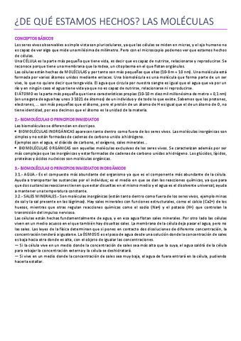 Biomoleculas.pdf