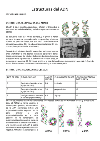 Estructuras-del-ADN.pdf